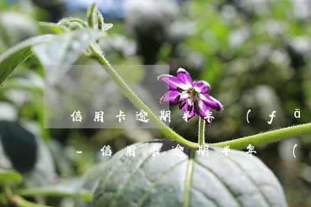 信用卡逾期半年發(fā)來傳票怎么處理-信用卡逾期半年發(fā)來傳票怎么處理的