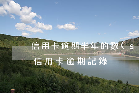 信用卡逾期半年的數(shù)據(jù)(信用卡 逾期記錄)