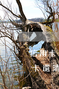 信用卡逾期半年直內還上-逾期很久的信用卡還清了還能繼續(xù)用嗎?