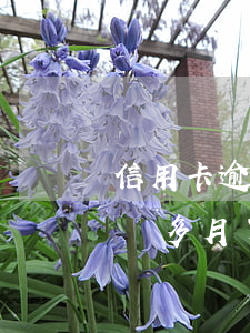 信用卡逾期半年能住酒店嗎(欠信用卡逾期8個多月了可以住酒店不)