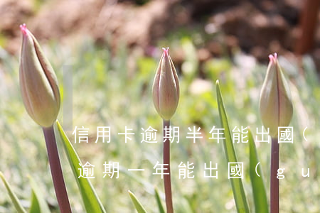 信用卡逾期半年能出國(guó)么(信用卡逾期一年能出國(guó)嗎)
