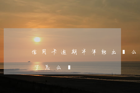 信用卡逾期半年能出國么(國外的信用卡逾期了怎么辦)