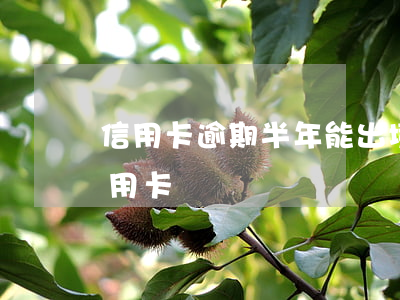 信用卡逾期半年能出境吗(半年内有逾期办信用卡)