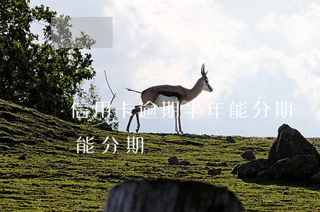 信用卡逾期半年能分期嗎-信用卡逾期半年能分期嗎買車