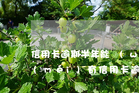 信用卡逾期半年能無(wú)息還款嗎(有沒(méi)有信用卡逾期一年以上沒(méi)還的)