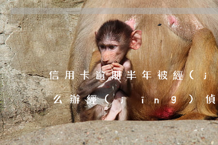 信用卡逾期半年被經(jīng)偵傳喚怎么辦(經(jīng)偵管信用卡逾期嗎)