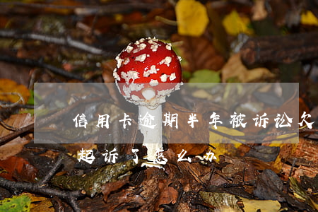 信用卡逾期半年被诉讼(欠信用卡半年没还被起诉了怎么办?)