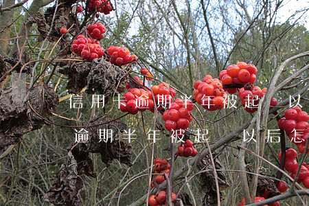 信用卡逾期半年被起訴以后怎么弄-信用卡逾期半年被起訴以后怎么弄回來