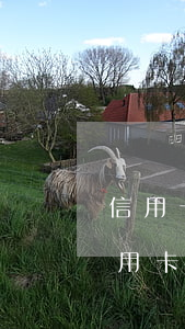 信用卡逾期半年被起訴立案后怎么解決-信用卡逾期半年被起訴立案后怎么解決呢