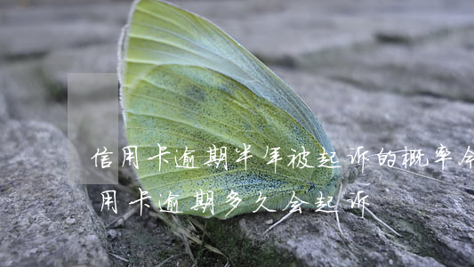 信用卡逾期半年被起诉的概率(今年新规定信用卡逾期多久会起诉)