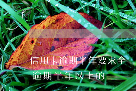 信用卡逾期半年要求全額還款(有沒有信用卡逾期半年以上的)