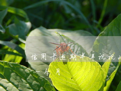 信用卡逾期半年视视(2016年信用卡逾期一个月)