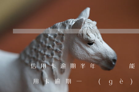 信用卡逾期半年記錄還能消除嗎-忘記還信用卡逾期一個(gè)月會(huì)怎么辦