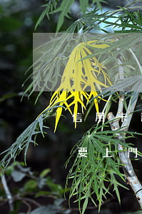 信用卡逾期半年說要上門(信用卡逾期半年說要上門回訪每個(gè)月還不行嗎)