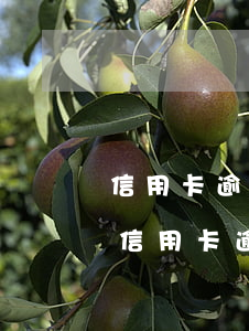 信用卡逾期半年說要刑事立案-公安局受理信用卡逾期案件嗎