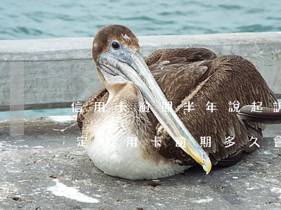 信用卡逾期半年說起訴(今年新規(guī)定信用卡逾期多久會起訴)