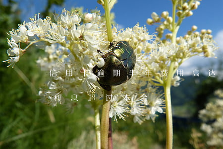 信用卡逾期半年费用高达本金 欠信用卡逾期利息超过本金