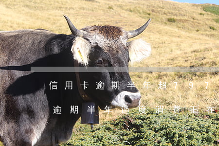信用卡逾期半年超797億(信用卡797億逾期半年過度消費正在摧毀年輕人的生活)