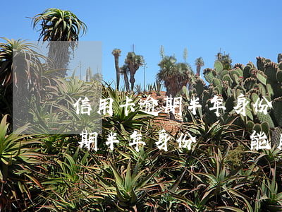 信用卡逾期半年身份證還能用嗎-信用卡逾期半年身份證還能用嗎安全嗎