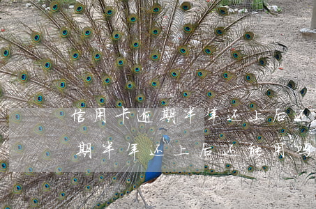 信用卡逾期半年还上后还能用吗-信用卡逾期半年还上后还能用吗知乎