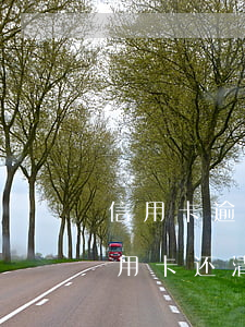 信用卡逾期半年还完还能用吗(逾期很久的信用卡还清之后还能用吗)