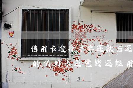 信用卡逾期半年还款后还能用么-逾期半年的信用卡还完钱还能用吗