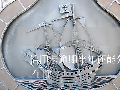 信用卡逾期半年还能分期还款吗？解决方案在此！