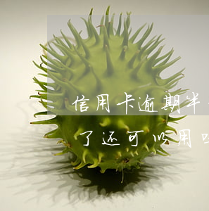 信用卡逾期半年还能用么(信用卡逾期半年还了还可以用吗)