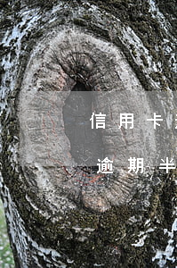 信用卡逾期半年还能重新开卡吗知乎，信用卡逾期半年后，能否重新申请并开通新卡？——知乎用户疑问解答