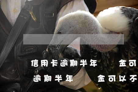 信用卡逾期半年違約金可以不給嗎-信用卡逾期半年違約金可以不給嗎怎么辦