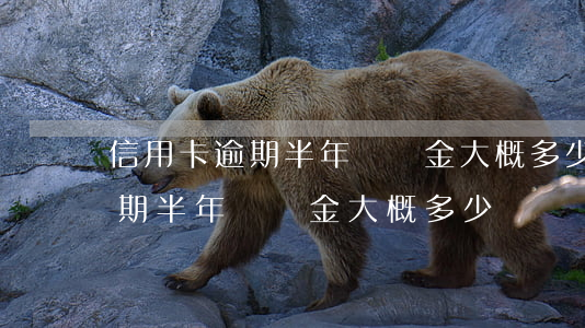 信用卡逾期半年違約金大概多少-信用卡逾期半年違約金大概多少錢