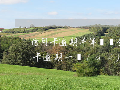 信用卡逾期半年違約金快9000 3萬信用卡逾期一個(gè)月違約金多少