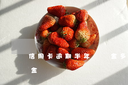 信用卡逾期半年遲納金多少(逾期幾天有滯納金)