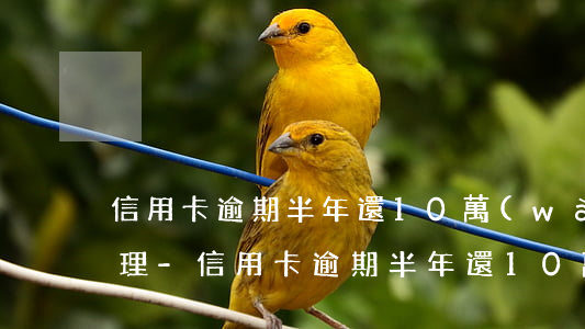 信用卡逾期半年還10萬(wàn)怎么處理-信用卡逾期半年還10萬(wàn)怎么處理的