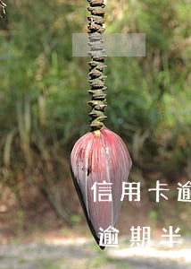 信用卡逾期半年還上了還可以用嗎-信用卡逾期半年還上了還可以用嗎