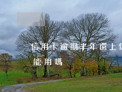 信用卡逾期半年還上(信用卡逾期半年還上還能用嗎)