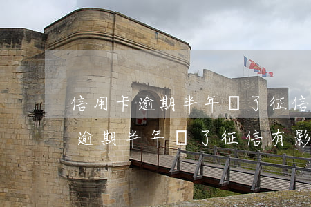 信用卡逾期半年還了征信有影響嗎-信用卡逾期半年還了征信有影響嗎知乎