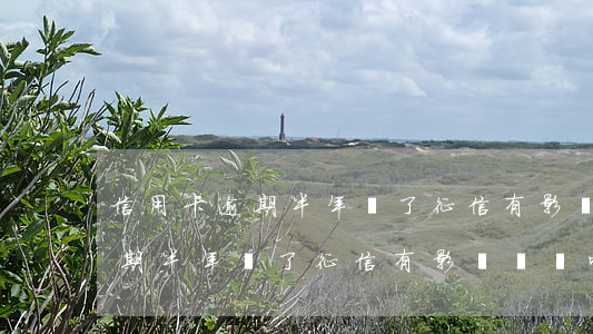 信用卡逾期半年還了征信有影響嗎(信用卡逾期半年還了征信有影響嗎貼吧)