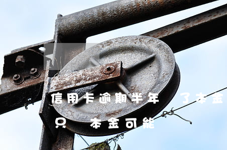 信用卡逾期半年還了本金(信用卡逾期很多年只還本金可能嗎)