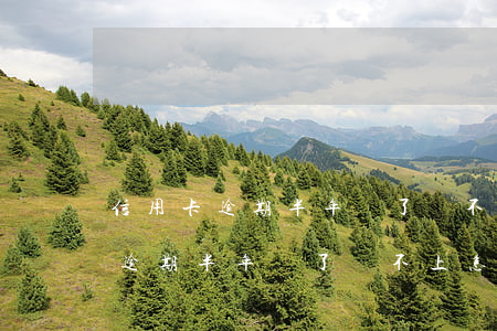 信用卡逾期半年還了還不上怎么辦-信用卡逾期半年還了還不上怎么辦呢