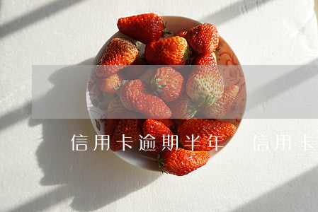 信用卡逾期半年還 信用卡逾期半年還能貸款嗎