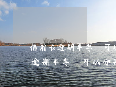 信用卡逾期半年還可以分期付款嗎-信用卡逾期半年還可以分期付款嗎