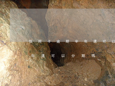 信用卡逾期半年還可以分期嗎(信用卡逾期半年還可以分期嗎)