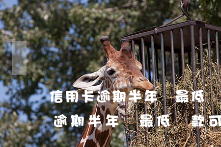 信用卡逾期半年還最低還款可以嗎-信用卡逾期半年還最低還款可以嗎怎么辦