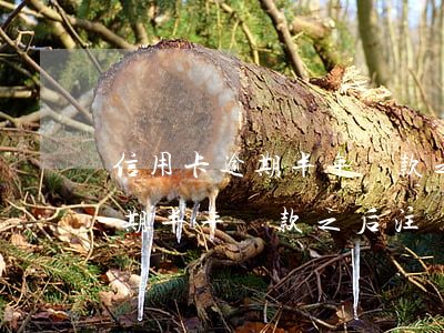 信用卡逾期半年還款之后注銷嗎-信用卡逾期半年還款之后注銷嗎有影響嗎