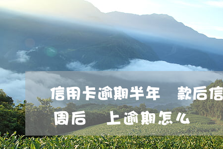 信用卡逾期半年還款后信用(忘記還信用卡 一周后還上逾期怎么辦)