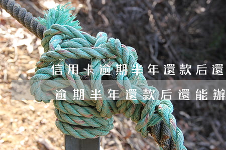 信用卡逾期半年還款后還能辦卡嗎-信用卡逾期半年還款后還能辦卡嗎知乎