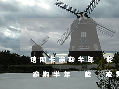 信用卡逾期半年還款會被黑名單嗎-信用卡逾期半年還款會被黑名單嗎怎么解除