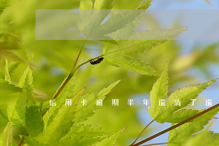 信用卡逾期半年還清了還有額度嗎
