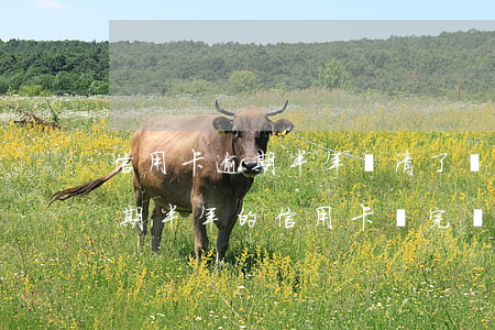 信用卡逾期半年還清了銷卡還能申請嗎-逾期半年的信用卡還完錢還能用嗎